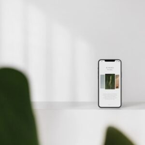 Essential DIY Tool Kit